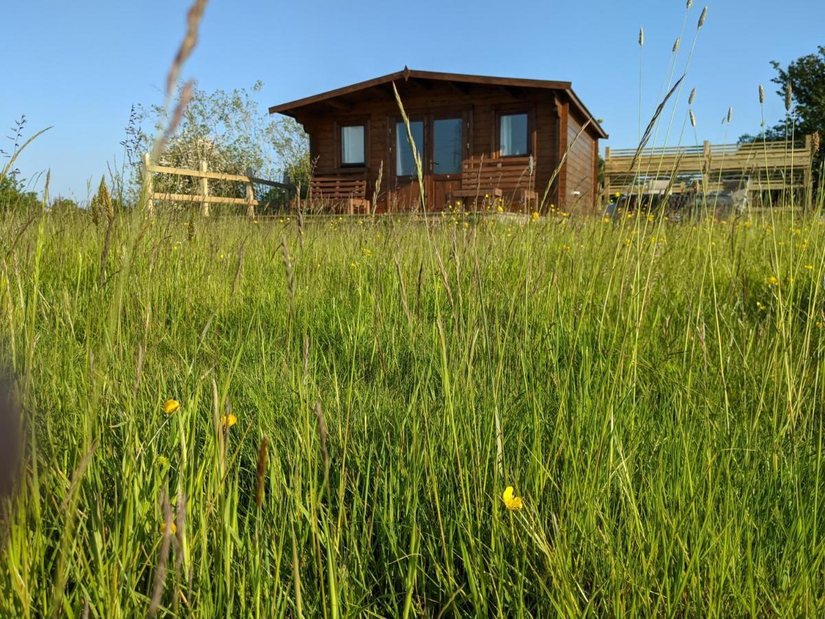 Foxhill Lodges Cantorbéry Extérieur photo